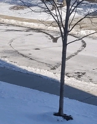 GIF uploaded by Rachel