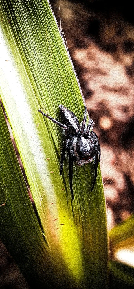 Gambar diunggah oleh Estrovi