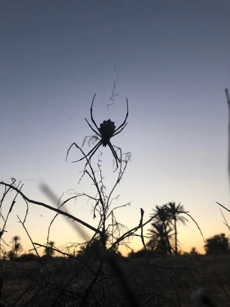 GIF dodany przez Marek