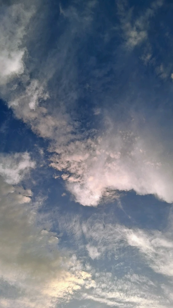 Image uploaded by Crissy