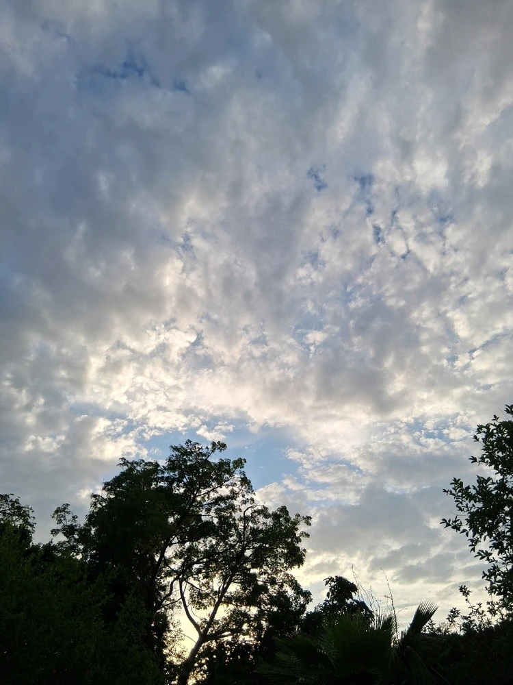 Image uploaded by Crissy