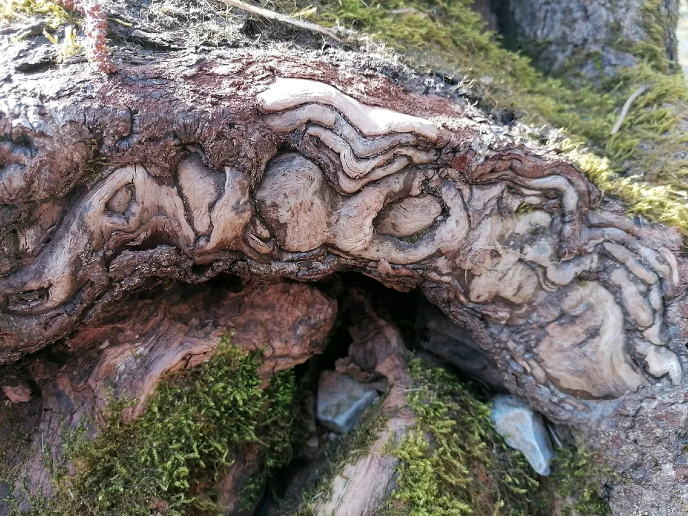 GIF ajouté par Marie