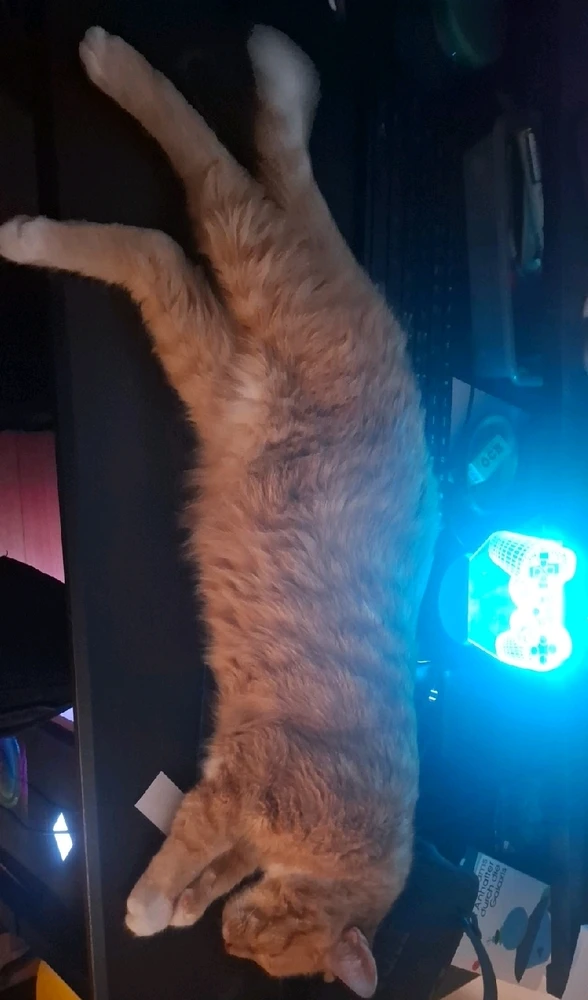 GIF uploaded by Gian