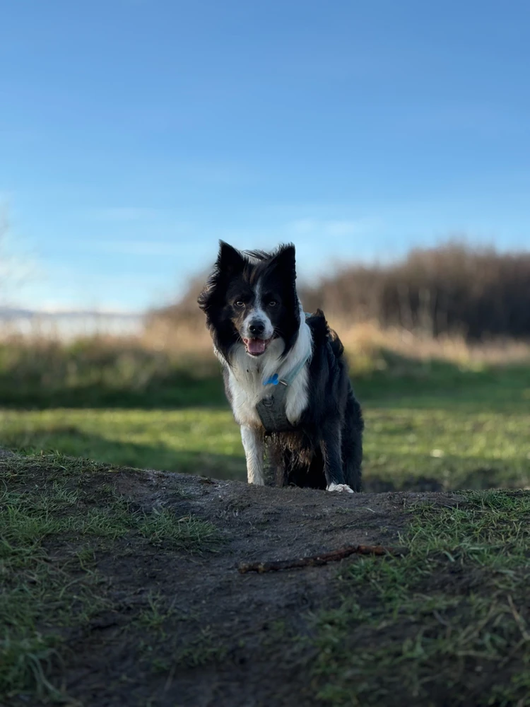 GIF uploaded by Emma