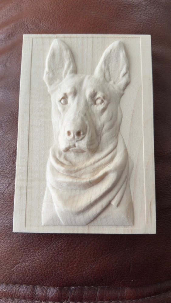 Zdjęcie dodane przez Adam