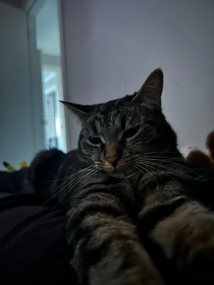 GIF uploaded by Adam