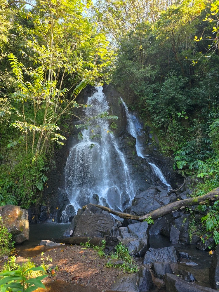 Image uploaded by AliixT