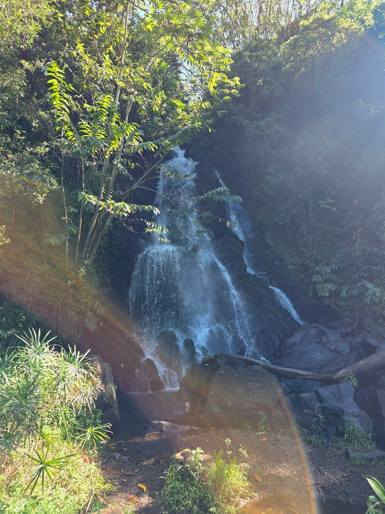 Image uploaded by AliixT