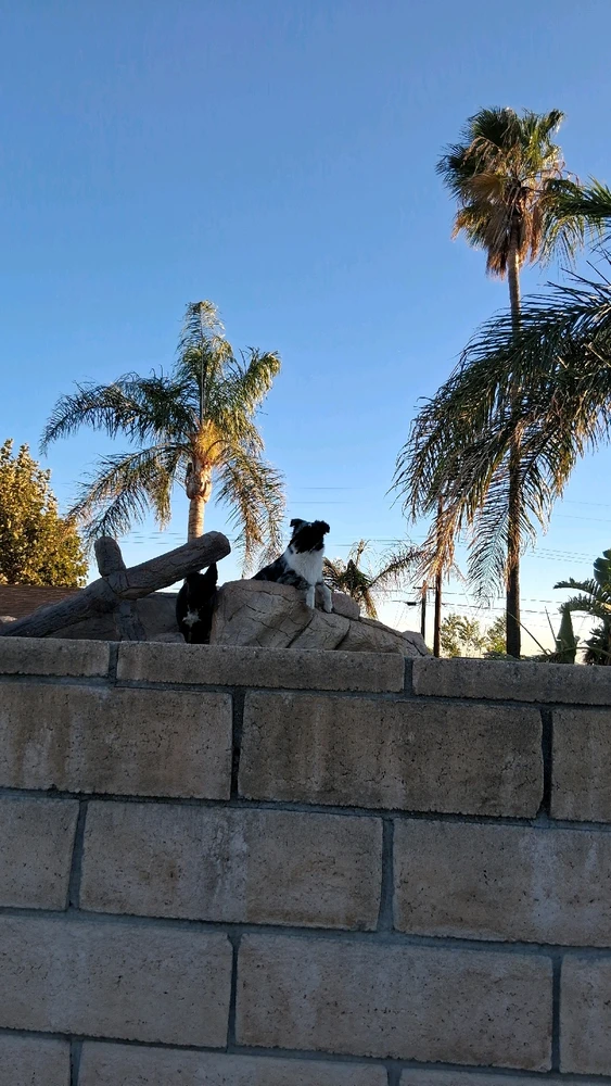 GIF uploaded by Crissy