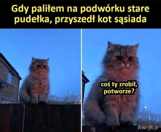 GIF dodany przez Ewelina