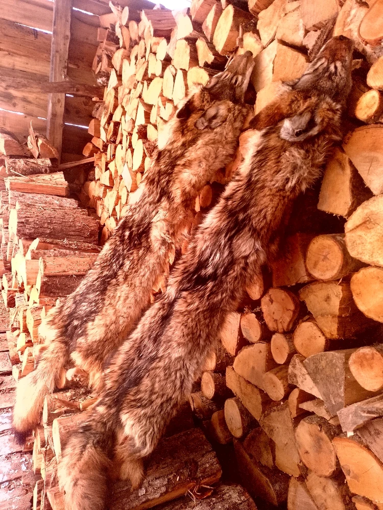 Image uploaded by Braydon