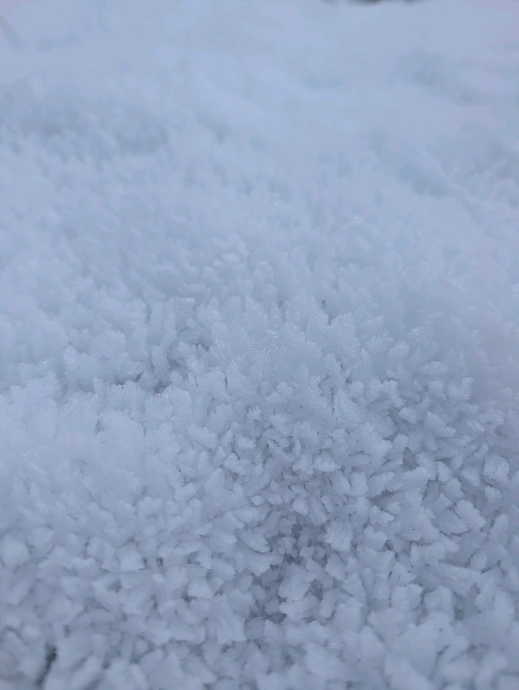 Image uploaded by Bailey