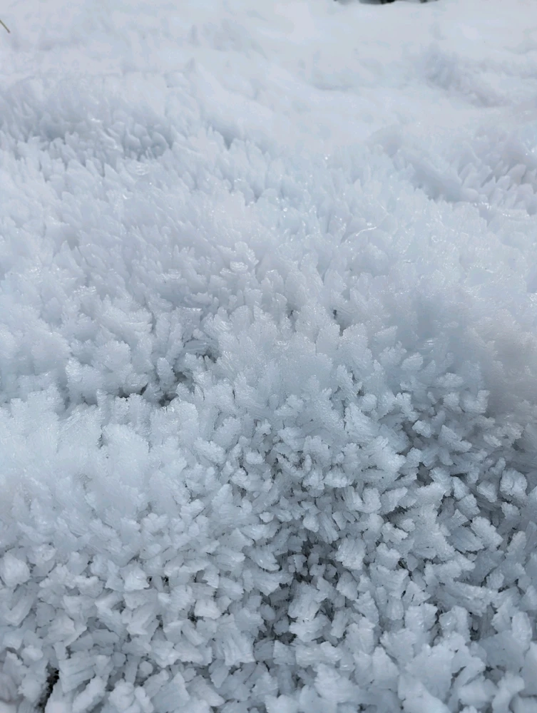 Image uploaded by Bailey