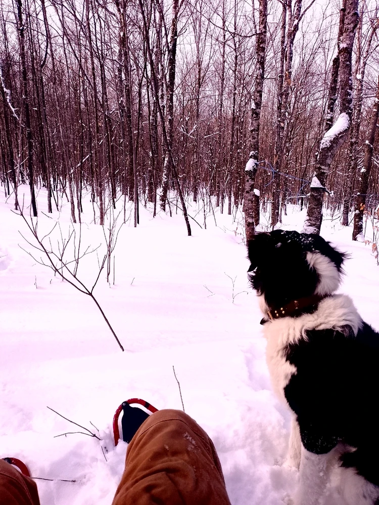 GIF uploaded by Braydon