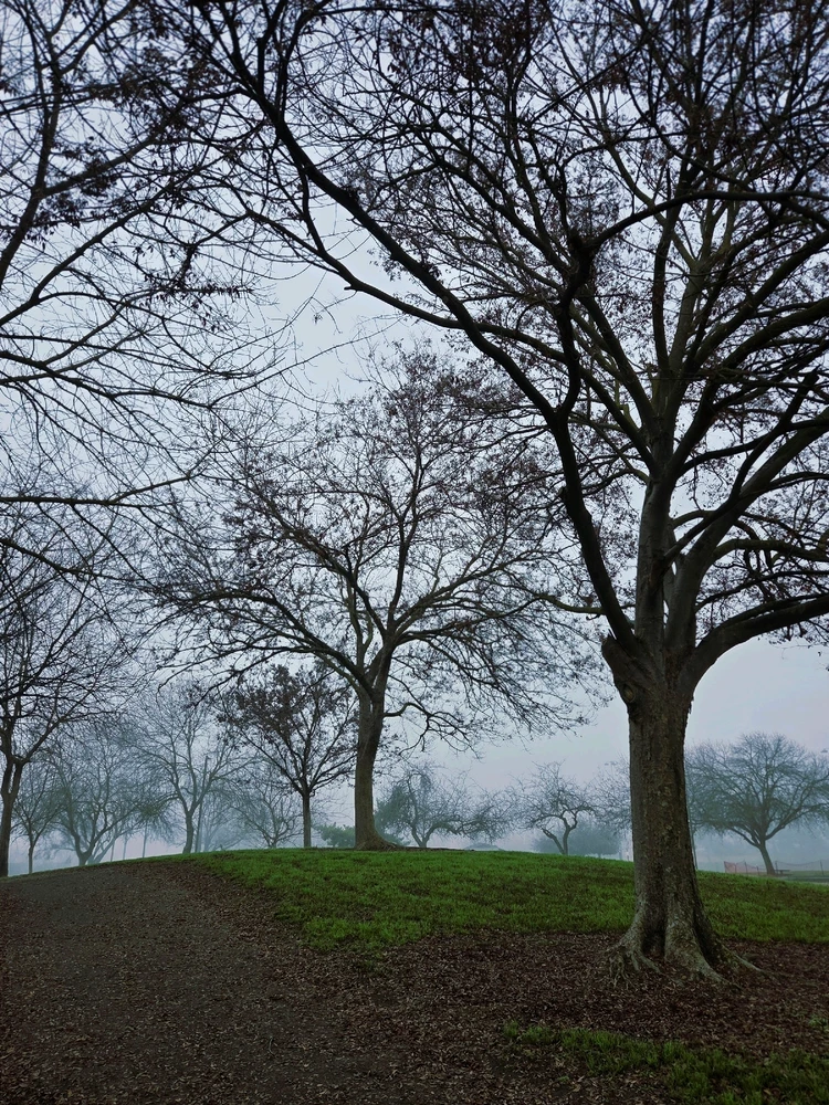 GIF uploaded by Eileen