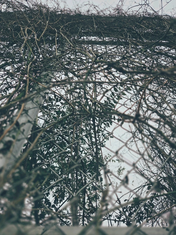 GIF uploaded by Eileen