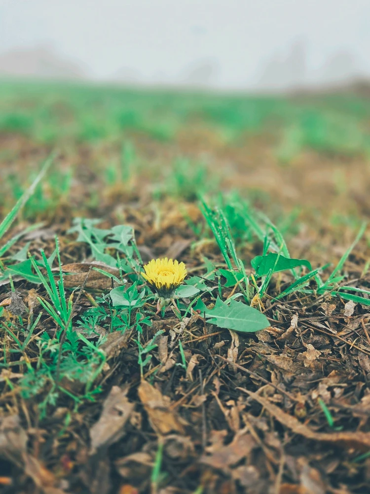 GIF uploaded by Eileen