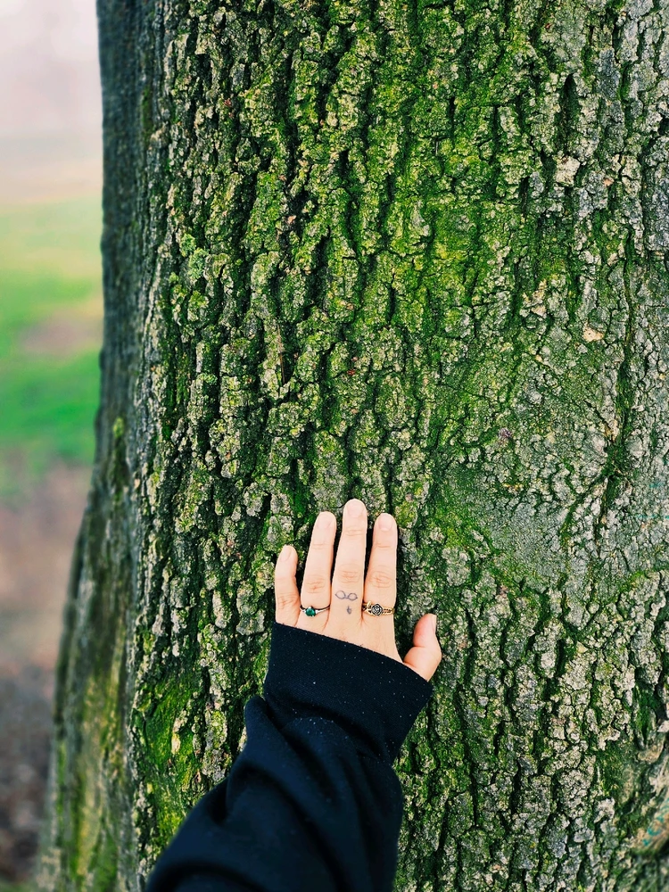 GIF uploaded by Eileen