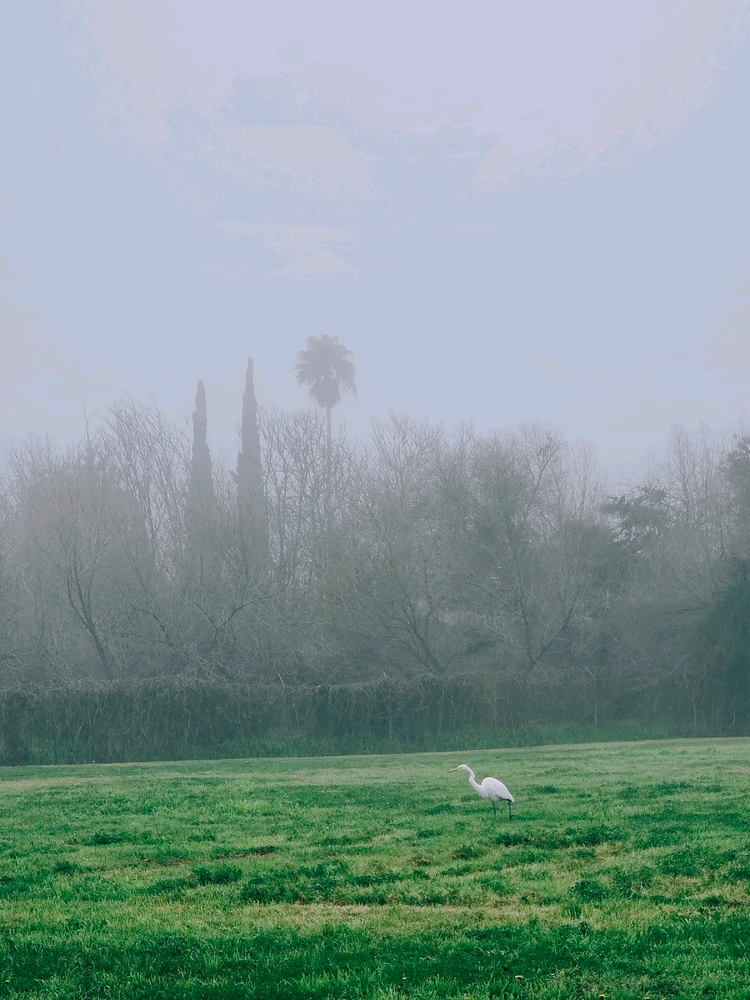 GIF uploaded by Eileen