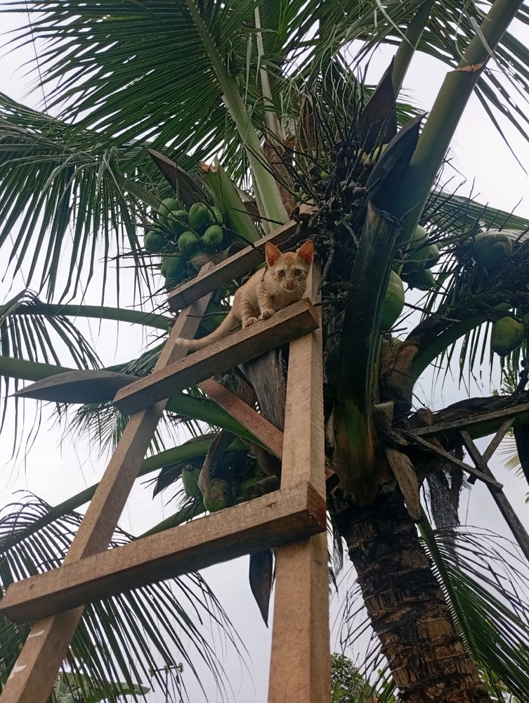 GIF diunggah oleh Stevicool