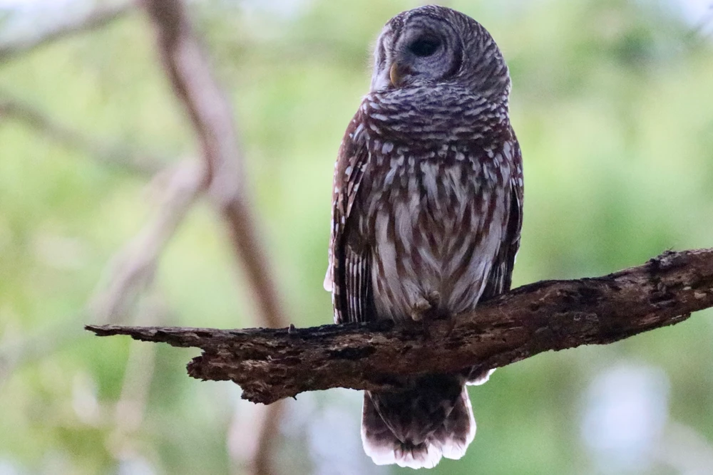 GIF uploaded by Sherlock