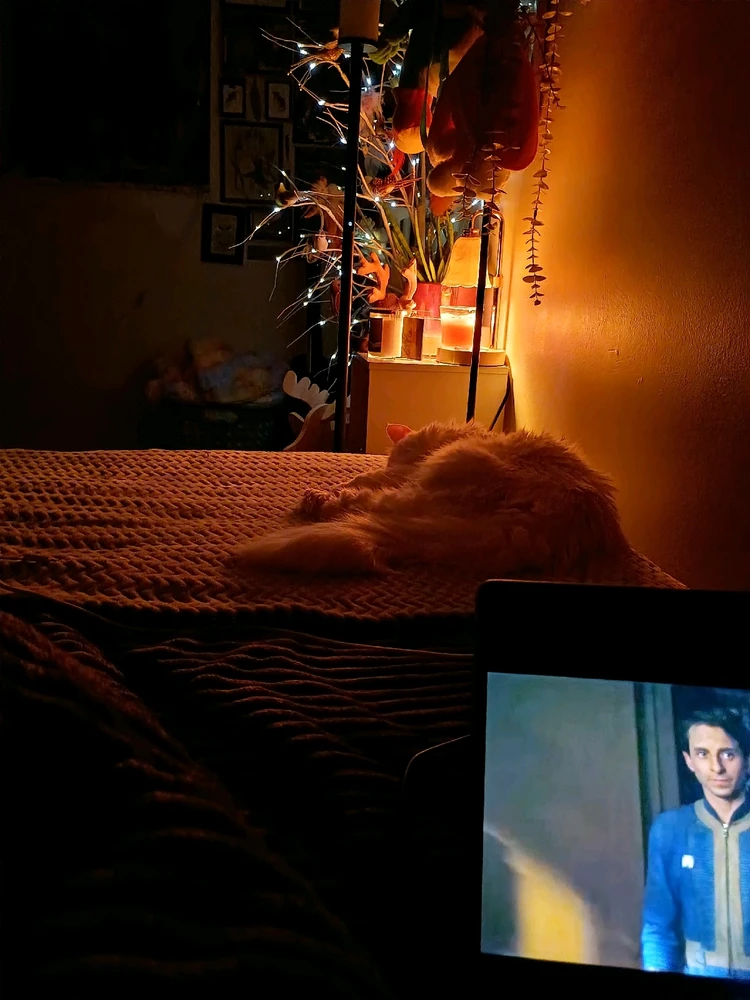 GIF uploaded by Madison