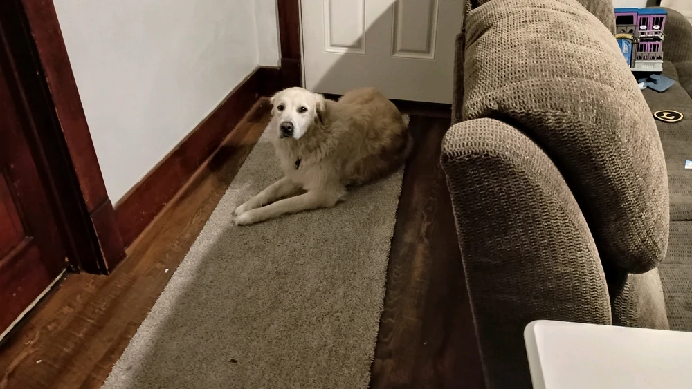 Image uploaded by Reo