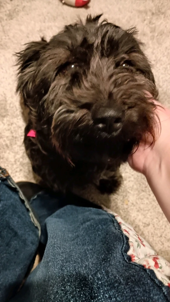 Image uploaded by Reo