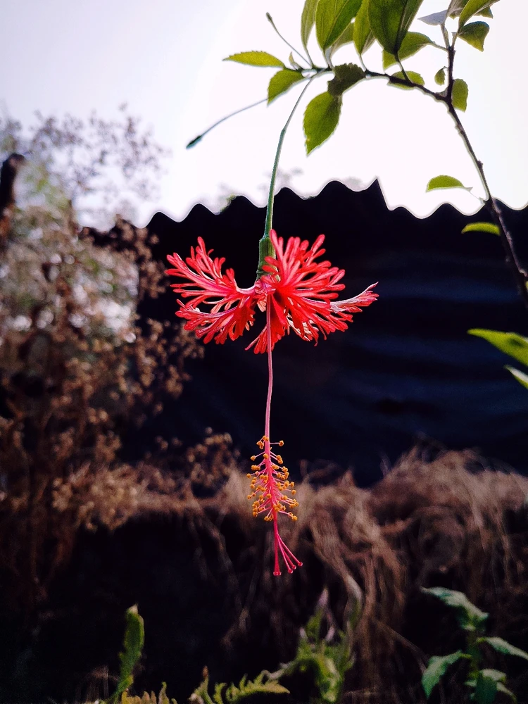 GIF uploaded by sebastian