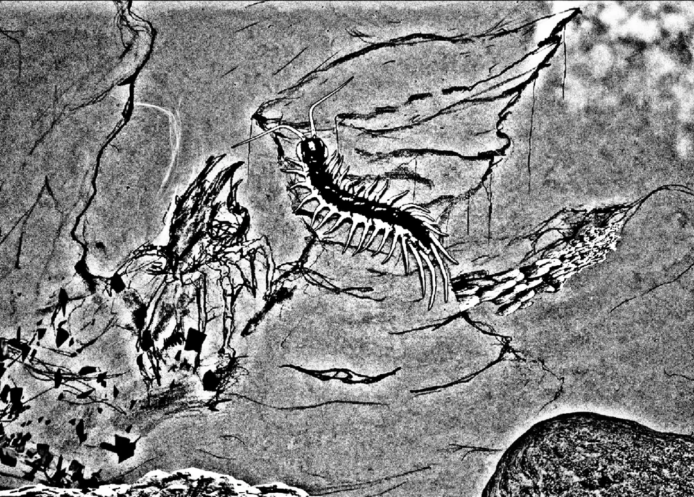 Image uploaded by Scott martin