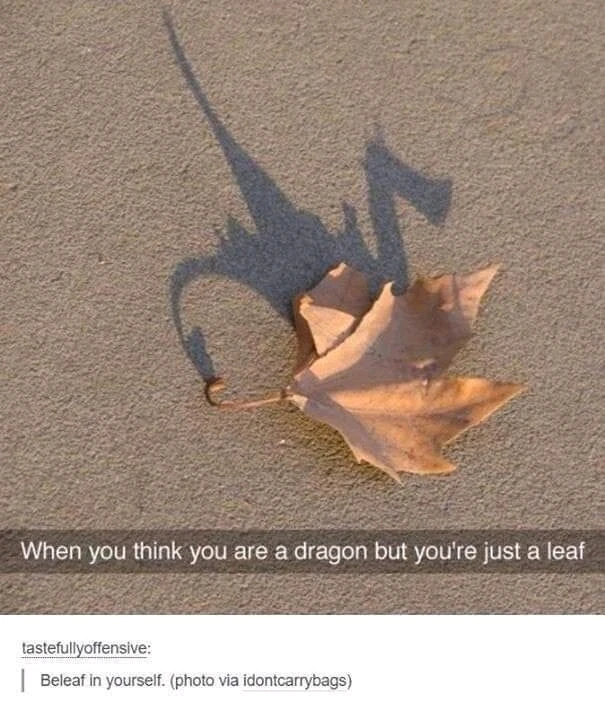 GIF uploaded by Rebecca