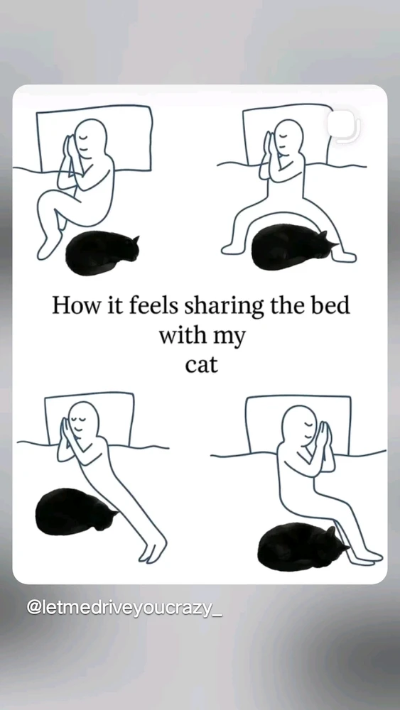 GIF uploaded by 💜J💜o💜e💜y💜