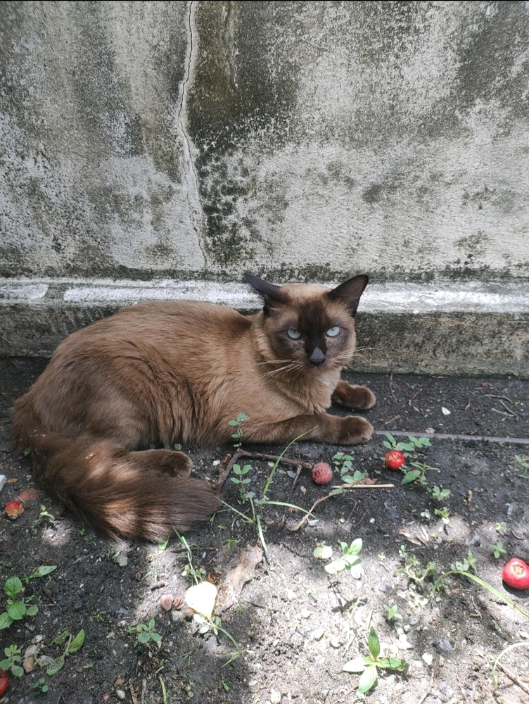 GIF uploaded by Jellyfish