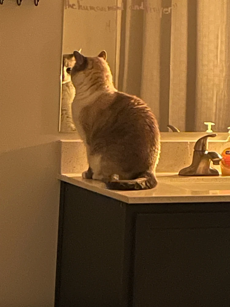 Image uploaded by Nash