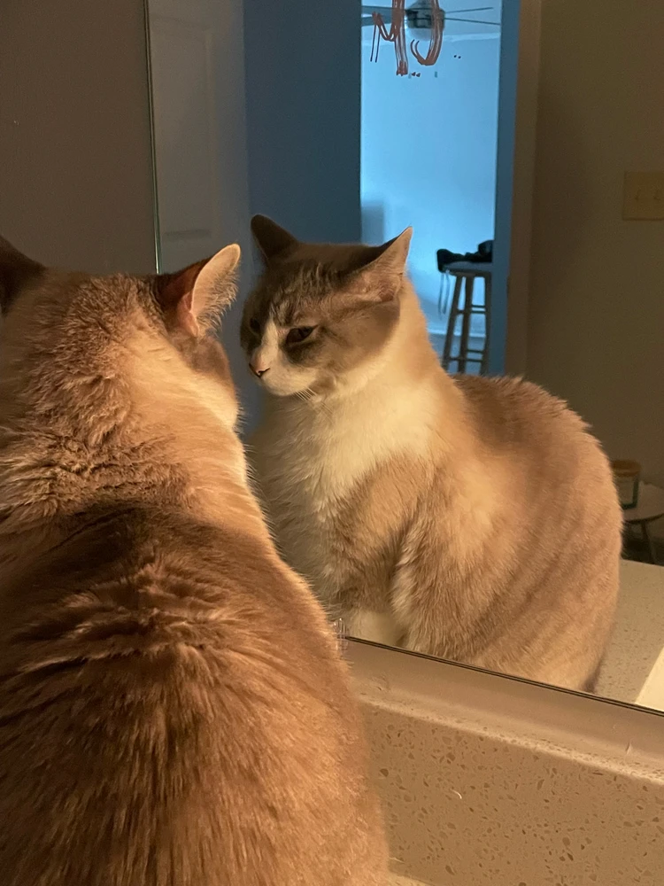 Image uploaded by Nash