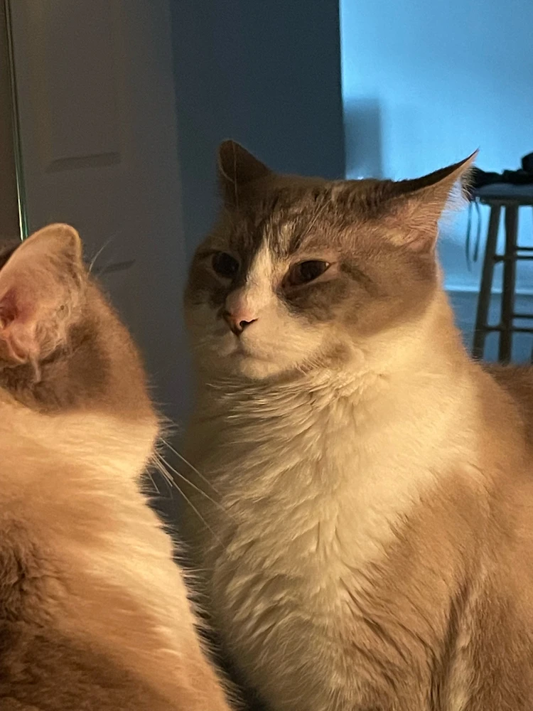 Image uploaded by Nash