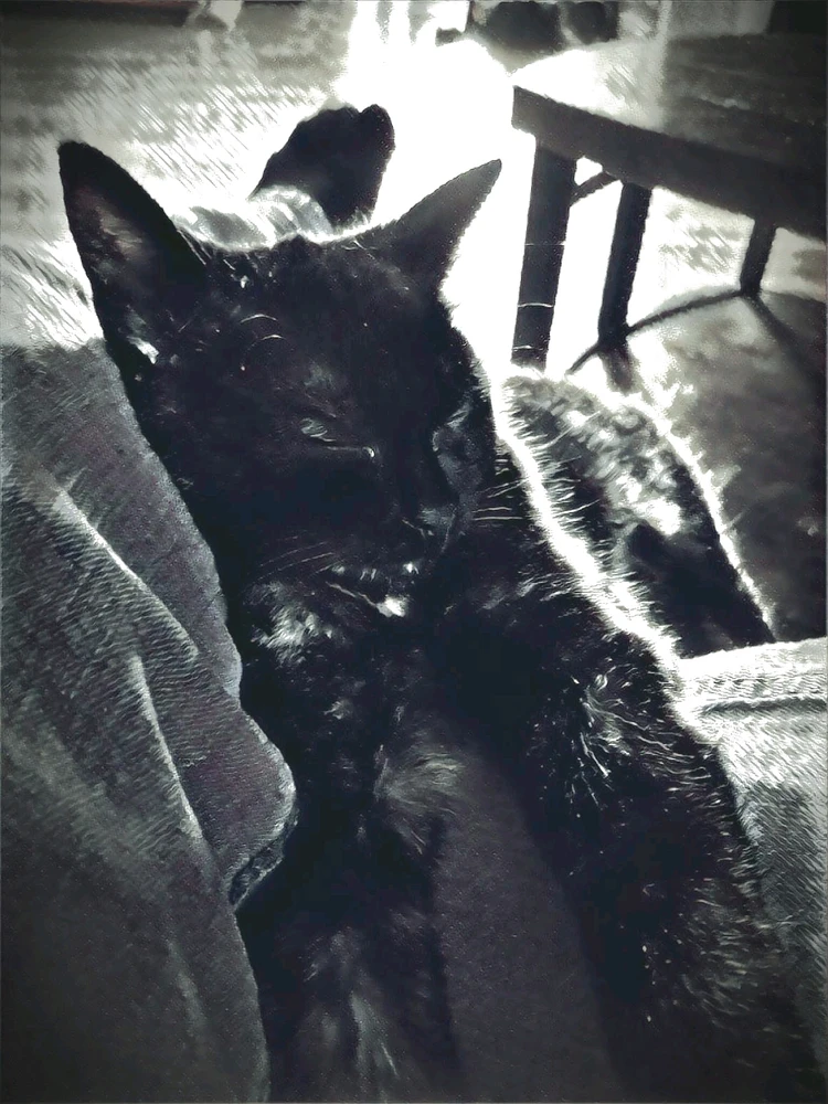 GIF uploaded by Matt