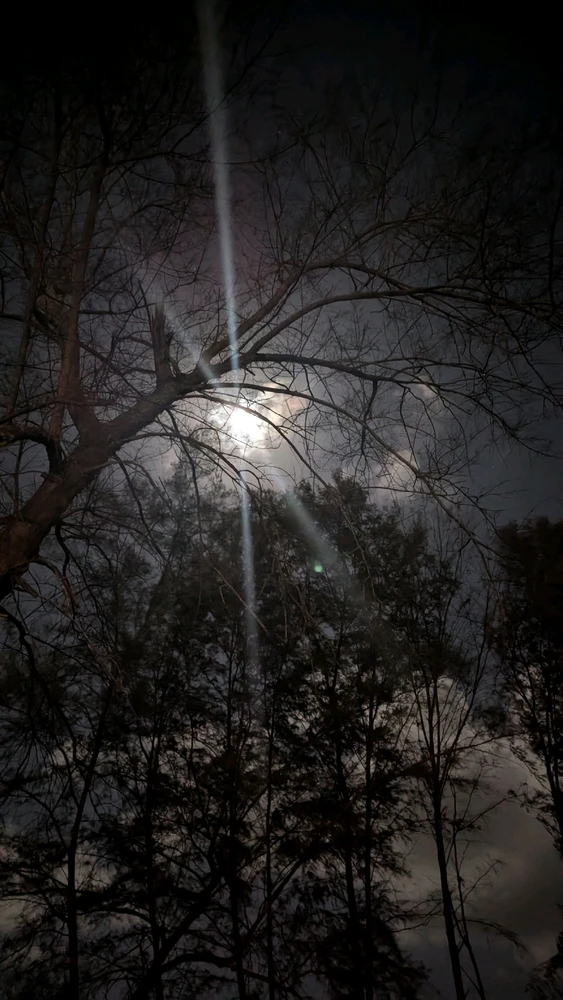 Image uploaded by Lahung