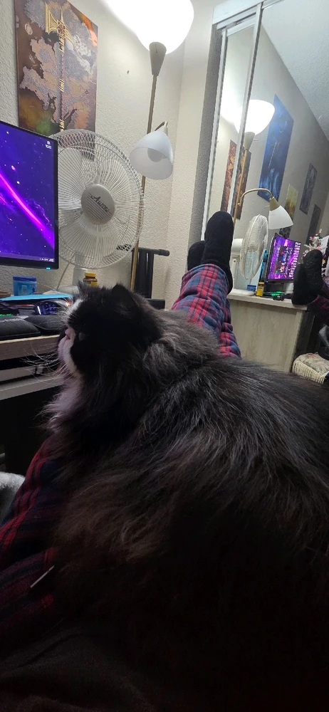 GIF uploaded by Beso