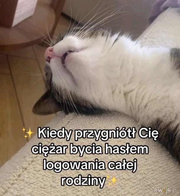 GIF dodany przez Kacper