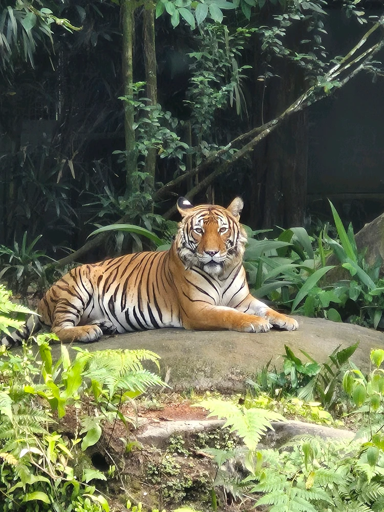 Image uploaded by Joey