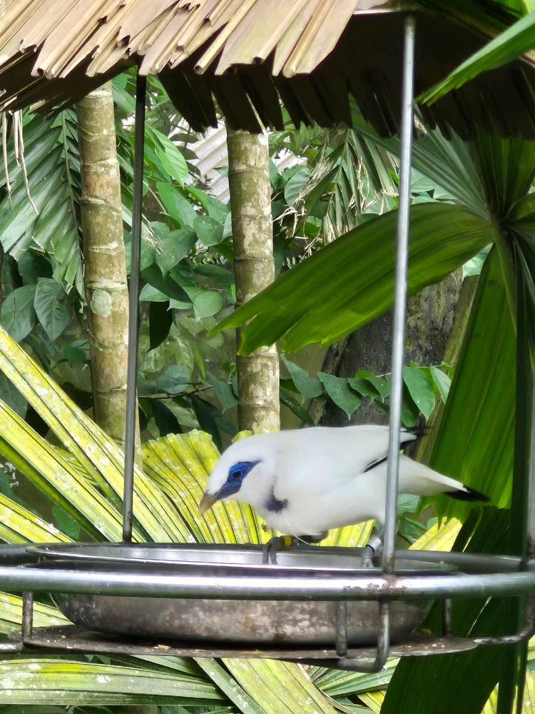 Image uploaded by Joey