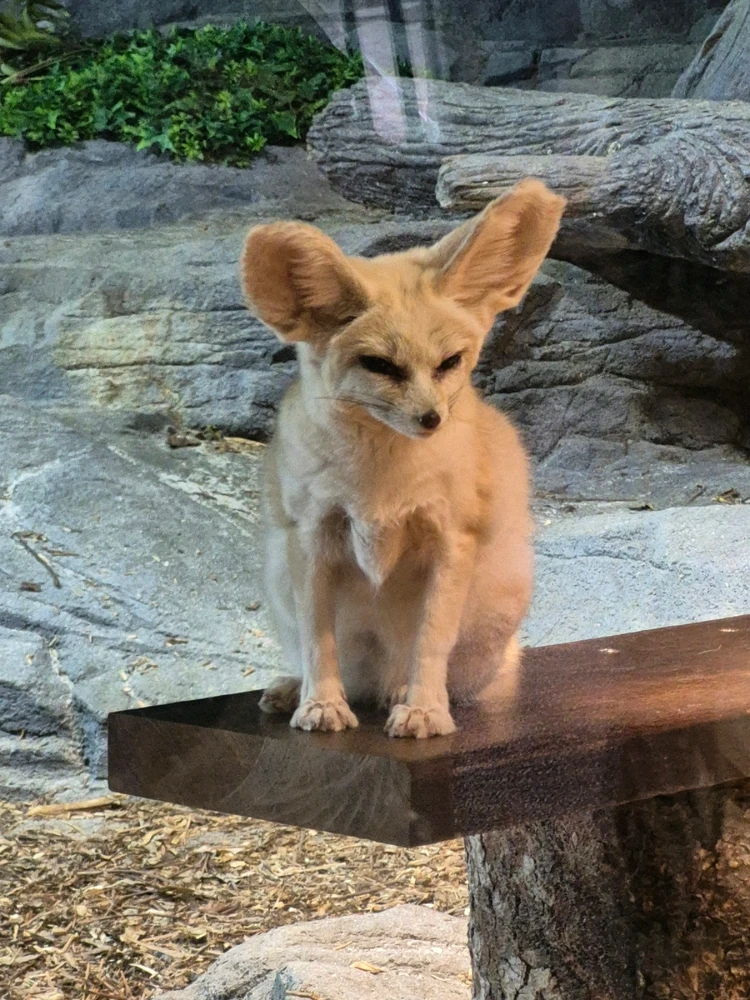 Image uploaded by Joey