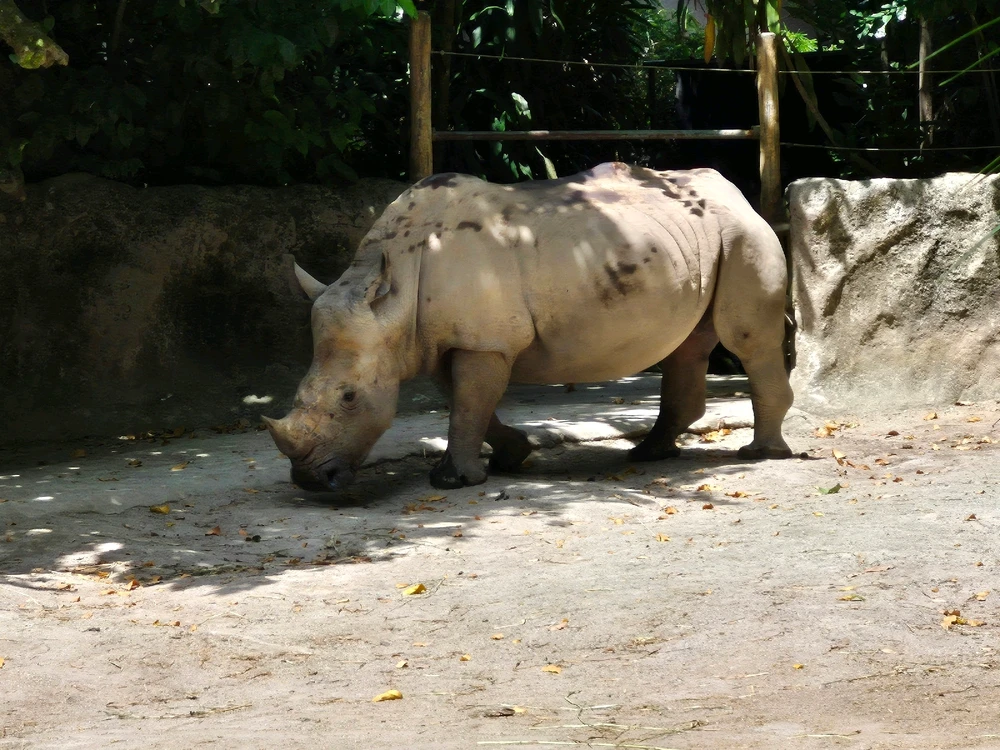 Image uploaded by Joey