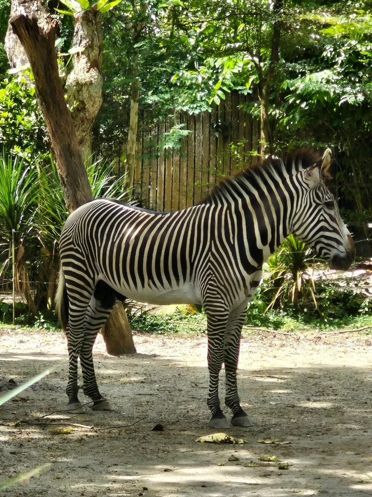 Image uploaded by Joey