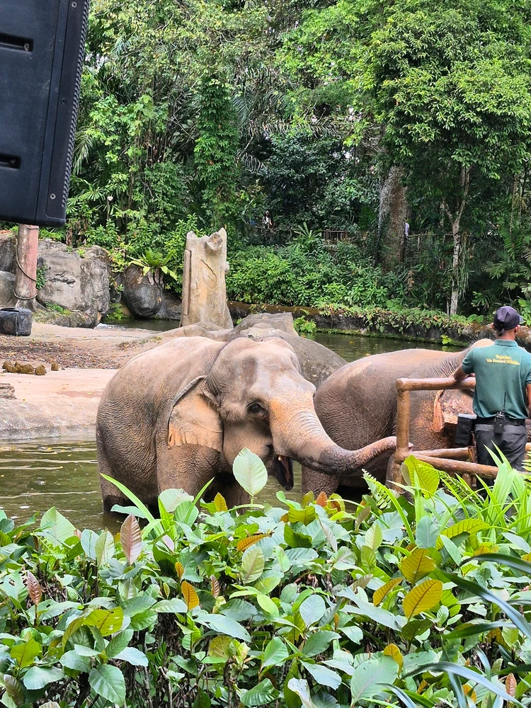 Image uploaded by Joey