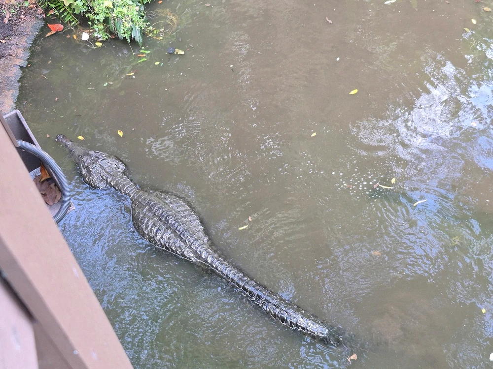 Image uploaded by Joey