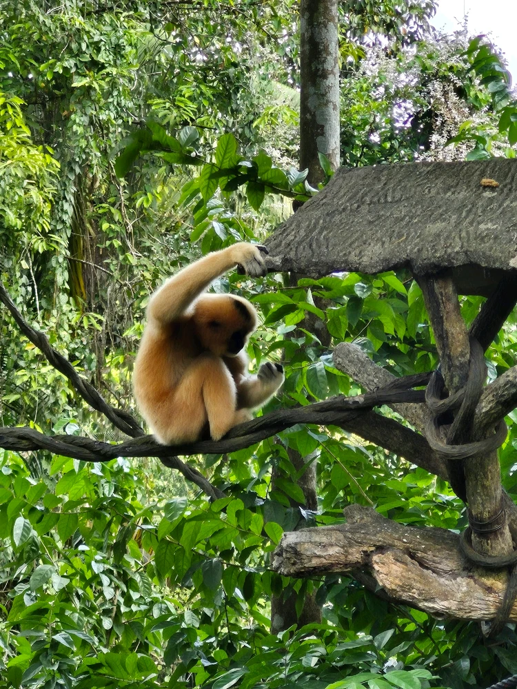 Image uploaded by Joey