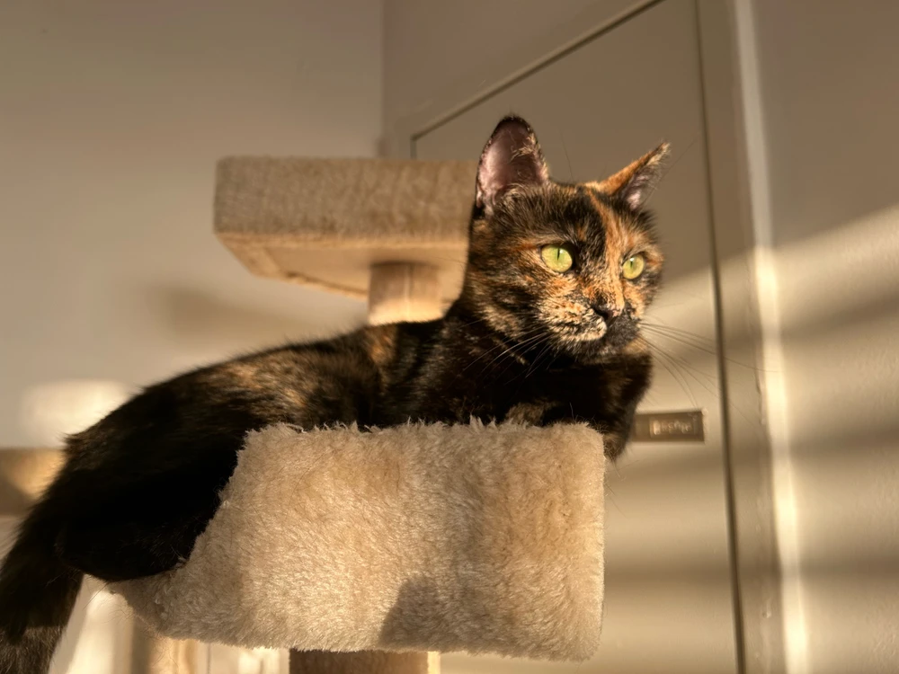 Image uploaded by Yaara