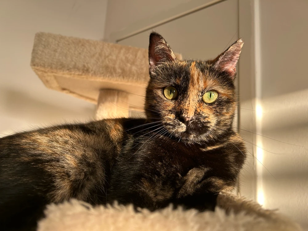 Image uploaded by Yaara